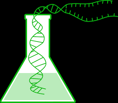 Compound Classification and Prioritization Using Toxicogenomics