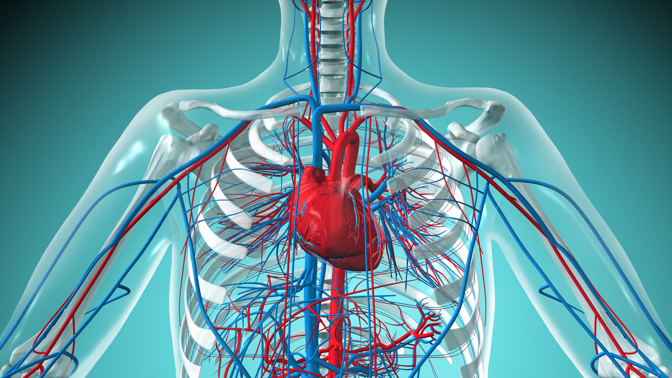 Lupus Erythematosus of the Cardiovascular System