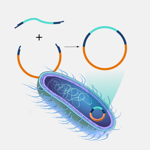 Recombinant DNA and Biotechnology