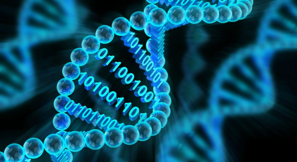 Analysis of Amino Acid Decarboxylases Using Bioinformatics