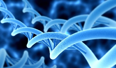 Sequence Analysis of Holins by Reduced Amino Acid Alphabet Model and Permutation
Approaches