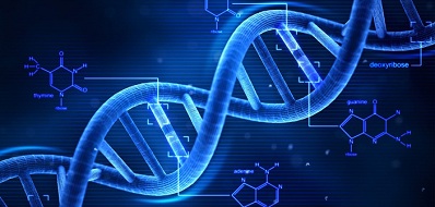 Obesity-Related Genes and Oral Cancer: A Bioinformatics Approach and Systematic
Review