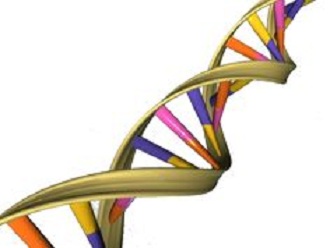 Computational Analysis of Short Tandem Repeat (STR) Markers from Genome Wide Expression Regions of Sugar Beet (Beeta vulgaris)