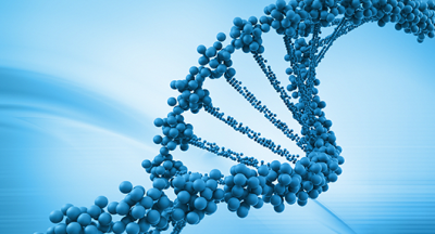 Genetic and Proteomic Sequence Analysis for the Theoretical Prediction of O-Glycosylation Sites in Proteins