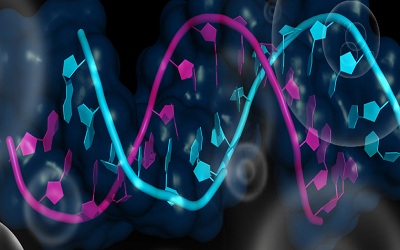 Automatic Categorization of PubMed microRNA Target Abstracts Based on Text Classification Techniques