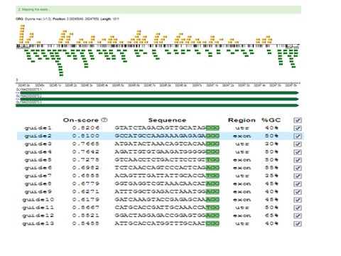 CRISPR Cas9 Nuclease Recruitment for Targeted Mutagenesis using Oligo SgRNA in Soybean (Glycine Max L)