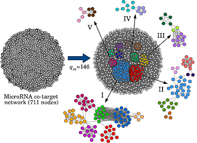 Communities of Dense Weighted Networks