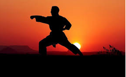 Iron Nutritional Status of Karate Players: A Review