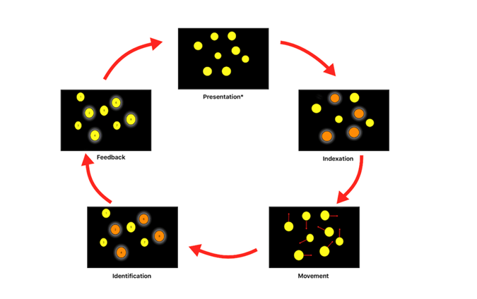 Effects of 3D-Multiple Object Tracking on Reaction Time Performance in High-Performance Varsity Swimmers