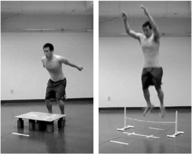 Intensity Rankings of Plyometric Exercises Using Joint Power Absorption