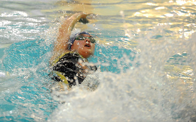 The Effect of 25 M versus 50 M Course Length on Backstroke Performance � An Analysis of National and International Swimmers