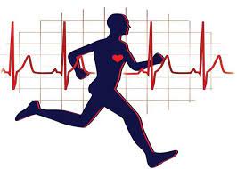 Separate Effects of Intensity and Amount of Exercise on Interindividual Cardiorespiratory Fitness Response