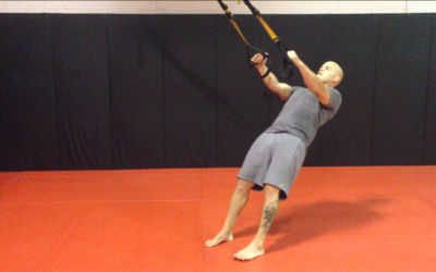 Resistance Characteristics of the TRX™ Suspension Training System at Different Angles and Distances from the Hanging Point