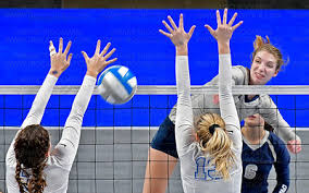 The Effects of a Static and Dynamic Balance-Training Program in Female Volleyball Players