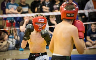 A Comparative Study of Specific Reaction Time in Elite Boxers: Differences between Jabs and Crosses
