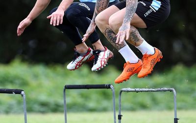 Effect of Plyometric Training on Young Athlete’s Performance According to Body Corpulence and Dropping Height