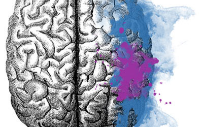 Visual Cortices and their Impact on Sport-Related Concussion: A Review