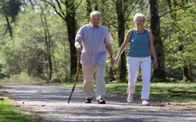 Effects of Physical Activity on Functional Health of Older Adults: A Systematic Review