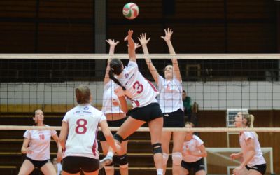 High-Density Lipoprotein Cholesterol Subfractions in Collegiate Female Volleyball Players