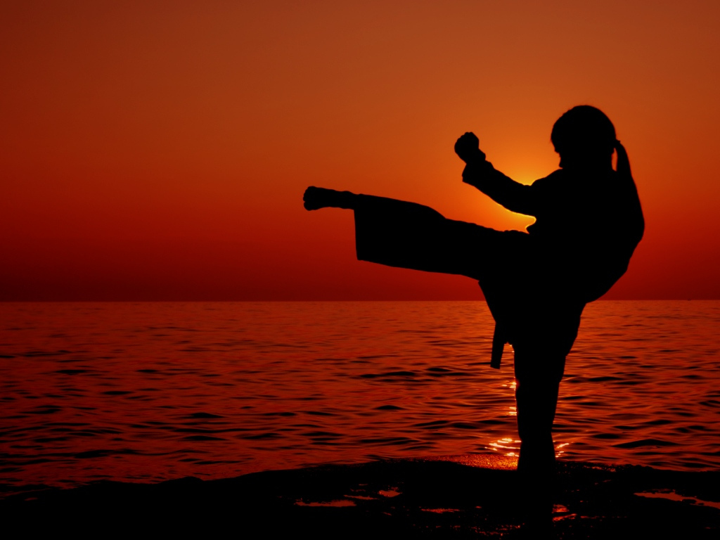 Comparison of Nutrient Intake between Japanese Female Elite and Collegiate Karate Players
