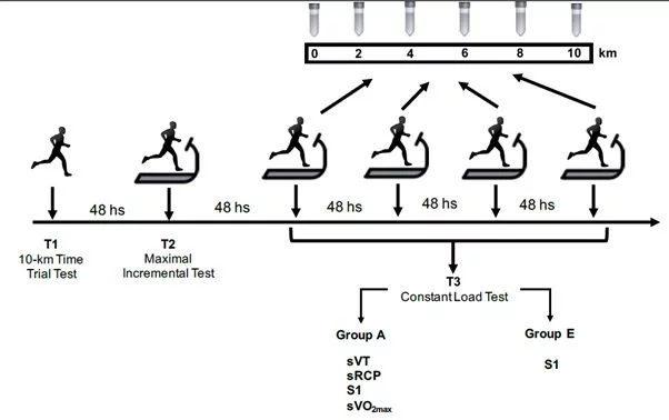 The Performance in 10 km Races Depends on Blood Buffering Capacity