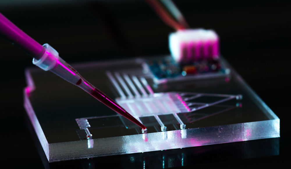 4th International Microfluidics Congress
Theme: Driving the Future with Microfluidics & Biomems