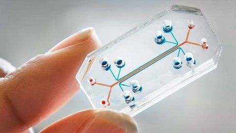 Market Analysis - Microfluidics 2020