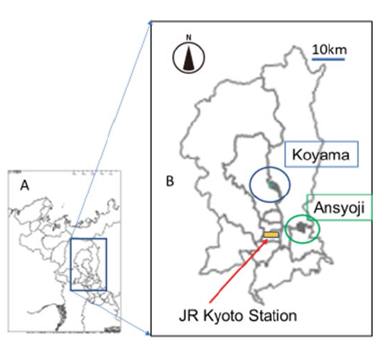 The Effects of Cell Size and Filtering Range on Automatically Extracted Tree Number and Average Tree Height Using Light Detection and Ranging Data in Fusion/LDV