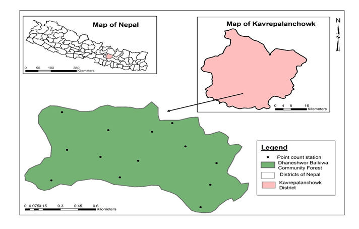 Seasonal Variation of Bird Diversity in Dhaneshwor Baikiwa Community Forest, Kavrepalanchowk District, Nepal