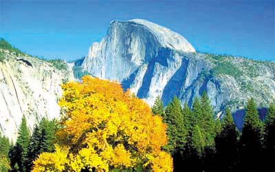 Changes in Meadow Vegetation Cover in Yosemite National Park (California) Based on Three Decades of Landsat Image Analysis
