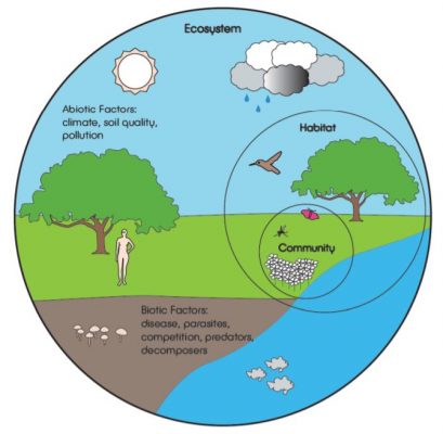 Environment Administrations Flow Difficulties and Open Doors for Natural Examination