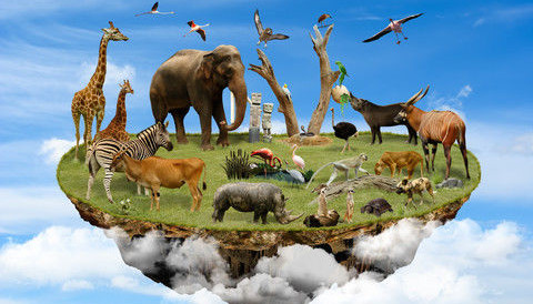 Earth’s Biodiversity Is Still Collapsing