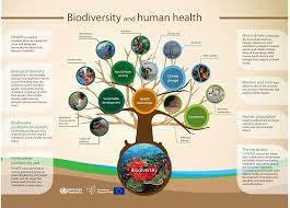 Biodiversity Includes the Diversity