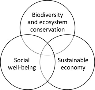 Biodiversity is Environmental Management