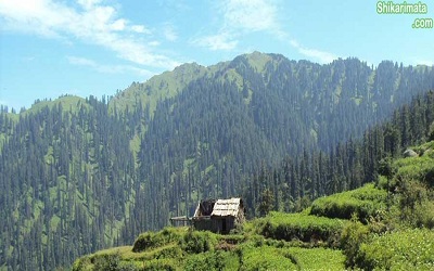 Diversity, Distribution Pattern and Threat Status of Pteridophytic Flora in Shikari Devi Wildlife Sanctuary, Himachal Pradesh, India