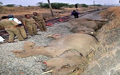 Assessment of Elephant (Elephas Maximus) Mortality along Palakkad-Coimbatore Railway Stretch of Kerala and Tamil Nadu Using Geospatial Technology