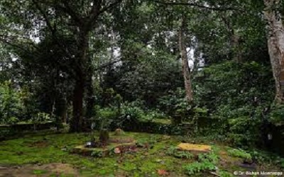 Sacred Groves of Arunachal Pradesh: Traditional Way of Biodiversity Conservation in Eastern Himalaya of India