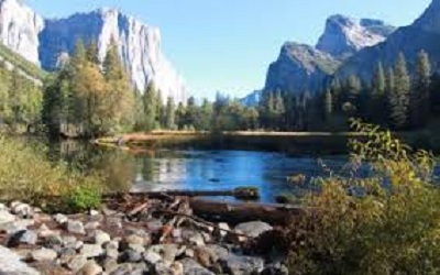 Changes in Vegetation Cover and Productivity in Yosemite National Park (California) Detected Using Landsat Satellite Image Analysis