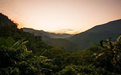 Structure and Floristic Composition of Subtropical Broad-Leaved Humid Forest of Cherapunjee in Meghalaya, Northeast India