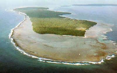 Vascular Plant Diversity and their Distribution Pattern in Sandwip Island, Chittagong,Bangladesh