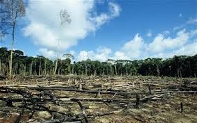 Tragedy of the Commons and Economics of Deforestation in Nigeria