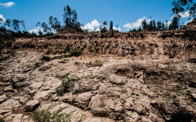 Assessment of Soil Fertility Changes Over 7 Years after Strip Clearcutting and Afforestation ina Low-Quality Forest Stand in China