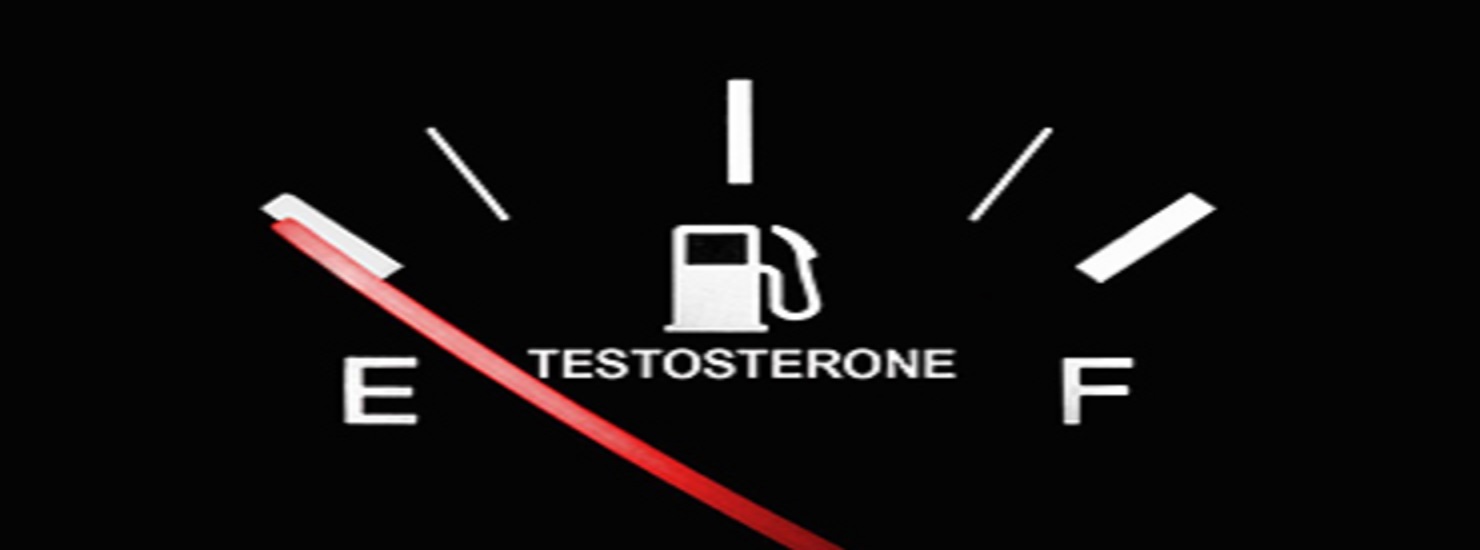 Chronic Low Testosterone Levels in EnduranceTrained Men: The Exercise Hypogonadal Male Condition