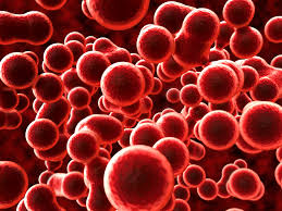 Young Research Forum – Young Scientist Awards: World Hematology 2020, Singapore City, Singapore, September 28-29, 2020