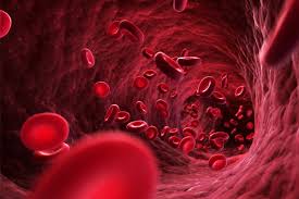 Market Analysis of Hematologists Meet 2020