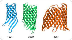 Rapid and Robust Antibody Fab Fragment Crystallization Utilizing Edge to Edge Beta-Sheet Packing