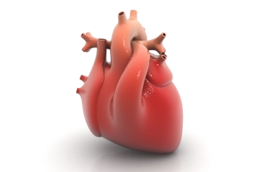 Video Stabilization and Region-of-Interest Tracking in Cardiac MRI Domain