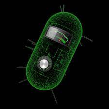 Enzymes square measure through Computer and Engineering Technologies