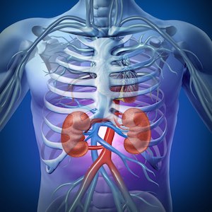 Renal dysfunction of therapy