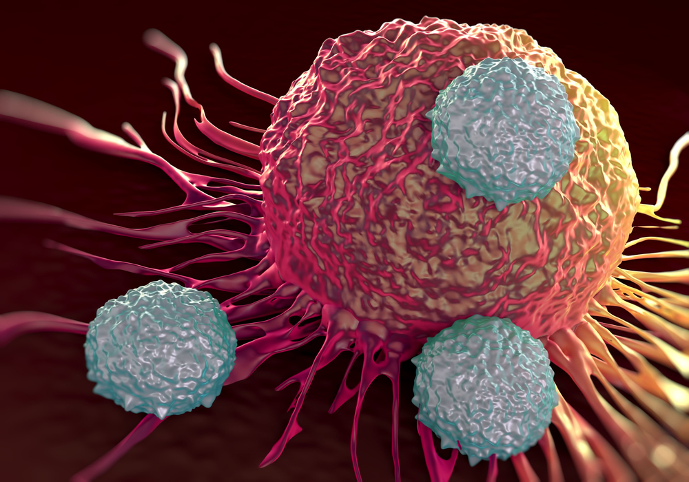 Synergism of the Anthracene-Derivative Anti-Cancer Agent Bisantrene with Nucleoside Analogs and A Bcl-2 Inhibitor in Acute Myeloid Leukemia Cells